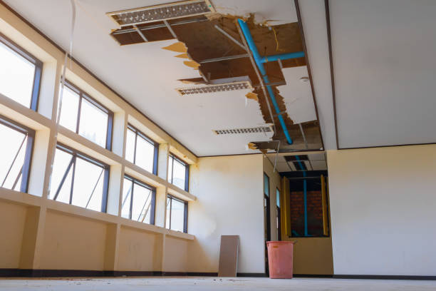 Best Flood restoration services  in Platte City, MO