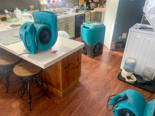 Best Flood damage cleanup  in Platte City, MO