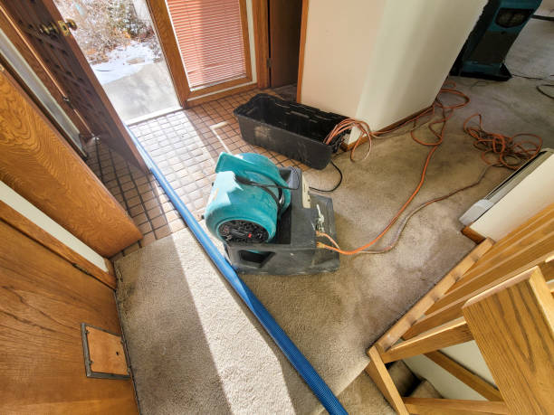 Best Emergency water damage restoration  in Platte City, MO