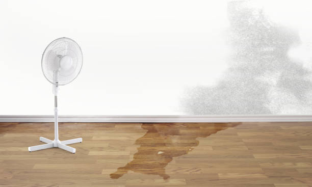 Reliable Platte City, MO Water damage restoration Solutions