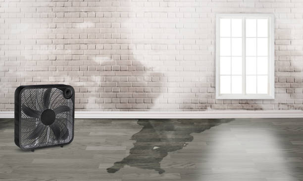 Best Residential water damage restoration  in Platte City, MO