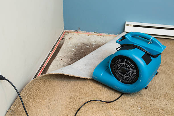 Best Ceiling water damage repair  in Platte City, MO